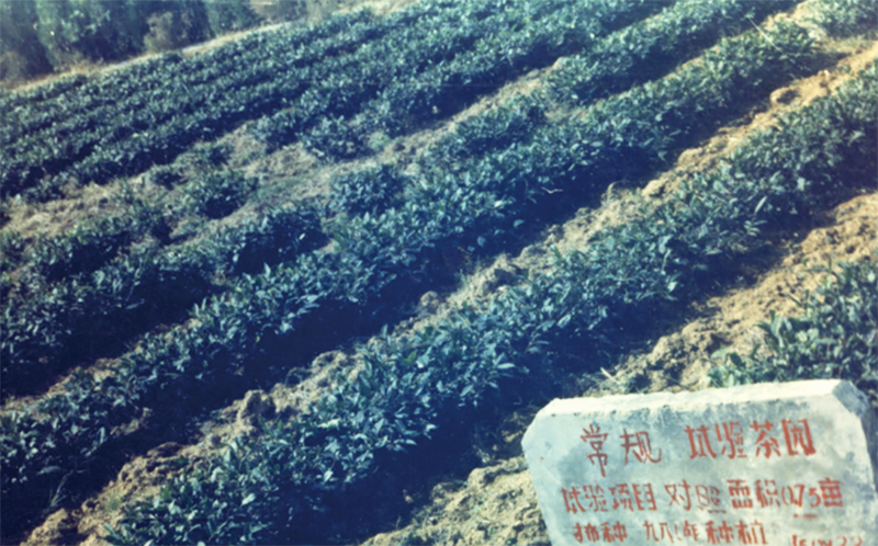 鰲福一家親